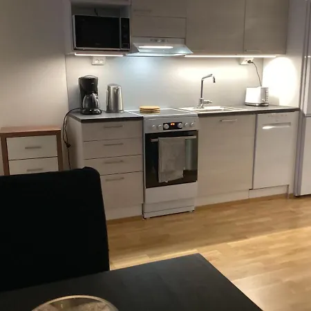 Yksioe Yliopiston Kampuksella Διαμέρισμα *