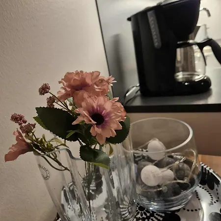 Apartman Yksioe Yliopiston Kampuksella